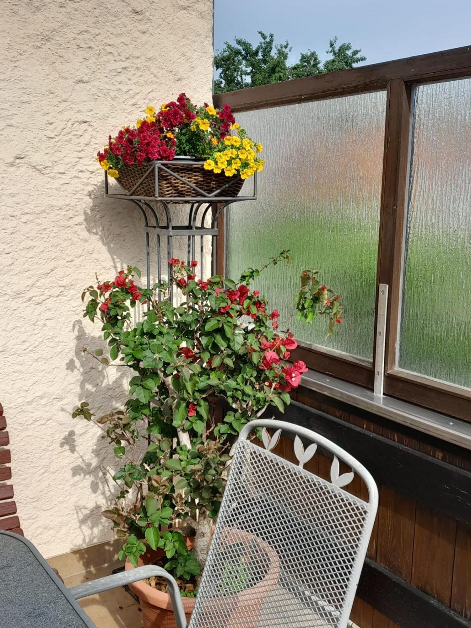 Ferienhaus Resch 劳芬 外观 照片
